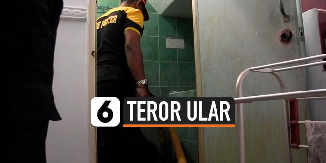 VIDEO: Teror Ular, Warga Temukan Sisik Ular di Kamar Mandi