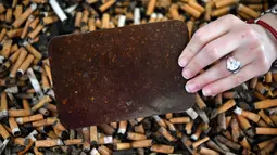 Pegawai Estelle Chabard menyortir puntung rokok di antara limbah di pabrik MeGo di Bourg-Blanc, Perancis (29/5). Perusahaan MeGo ini mengolah limbah puntung rokok menjadi barang praktis sehari-hari seperti bangku jalanan. (AFP/Fred Tanneau)