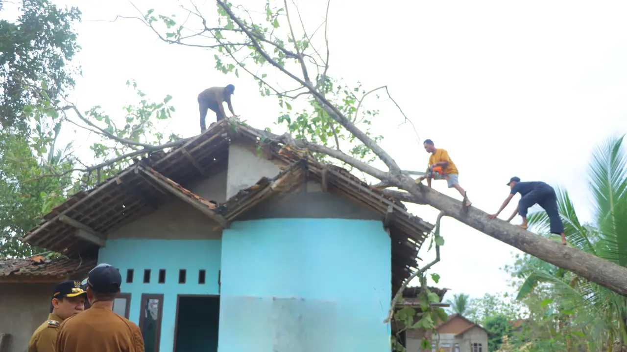 Rumah warga tertimpa pohon tumbang akibat diterjang hujan deras dan angin kencang di Pringsewu, Lampung. Foto : (Istimewa).