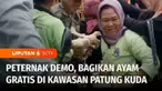 Peternak ayam membagi-bagikan ayam potong gratis kepada pengguna jalan di kawasan Patung Kuda, Gambir, Jakarta Pusat, Kamis siang. Pembagian ayam secara cuma-cuma ini merupakan bagian unjuk rasa peternak ayam potong yang selalu merugi setiap tahunnya...