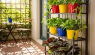 8 Warna Pot yang Membuat Kebun Terlihat Lebih Rapi dan Estetis