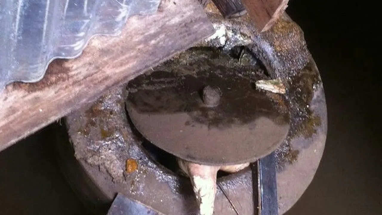 Hilang Berhari-hari, Pelayan Warung Ditemukan dalam Septic Tank