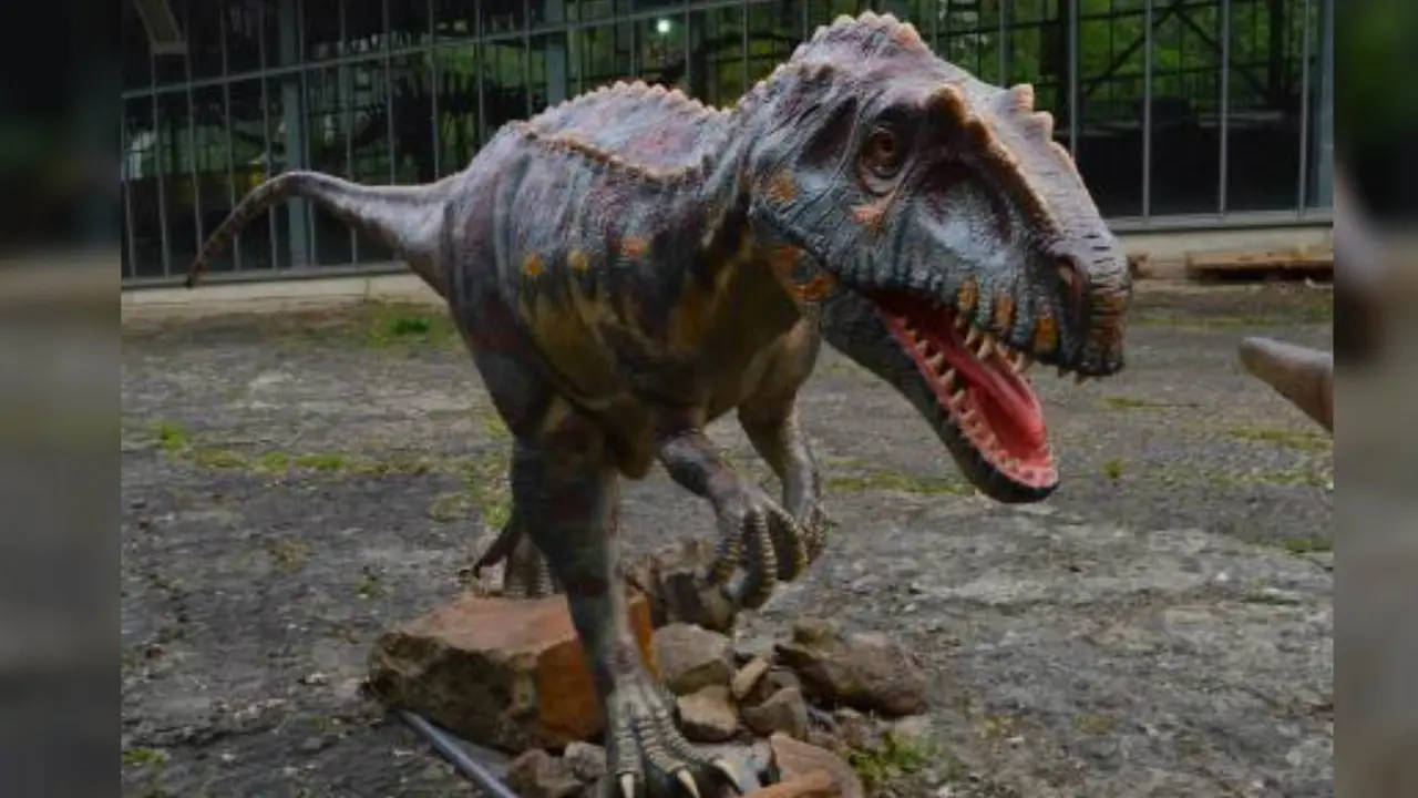 Karakter Dinosaurus Terungkap dari Jejak Kaki 142 Juta Tahun**
