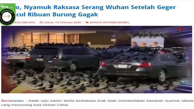 Cek Fakta Video Setelah Burung Gagak Nyamuk Raksasa Serang Wuhan Ini Faktanya Cek Fakta Liputan6 Com