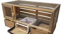 Cara Membuat Kandang Puyuh Mini dari Bahan Bekas Murah, 7 Langkah Hemat Biaya