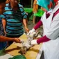 Dokter hewan dan pihak Kebun Binatang Kasang Kulim membedah bayi leopard mati untuk diketahui penyebab kematiannya. (Liputan6.com/Dok BBKSDA Riau/M Syukur)