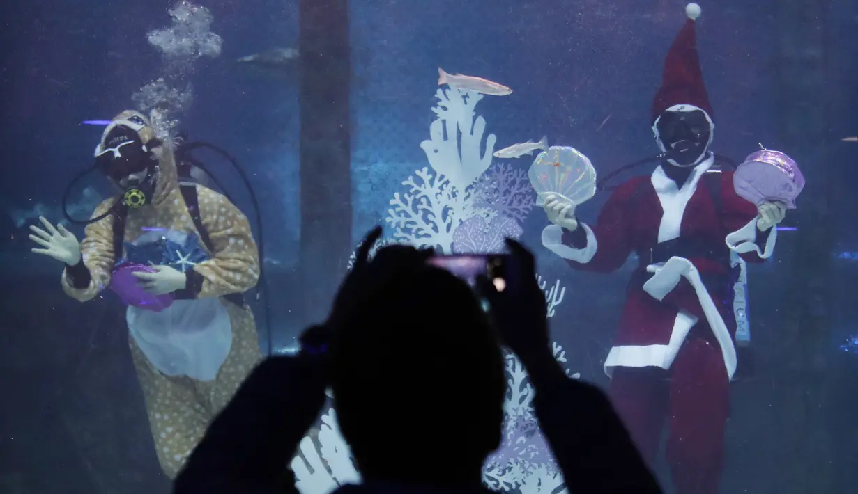 Seorang pengunjung mengabadikan aksi sinterklas dan sejumlah penyelam lainnya lewat kamera ponselnya di Coex Aquarium di Kota Seoul, Korea Selatan (4/12/2019). (AP Photo/Ahn Young-joon)
