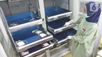 Petugas memeriksa kantung darah di ruang penyimpanan kantor PMI DKI Jakarta, Jumat (20/3/2020). Dampak meluasnya Virus Corona COVID-19, stok darah di PMI Jakarta menurun 60 - 70 persen hingga membuat pihak rumah sakit membuka donor darah atau mengirim pendonor ke PMI. (Liputan6.com/Herman Zakharia)