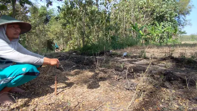 Petani 2 desa di Blora menolak beroperasinya tambang pasir di tengah sawah produktif. (Foto: Liputan6.com/Ahmad Adirin)
