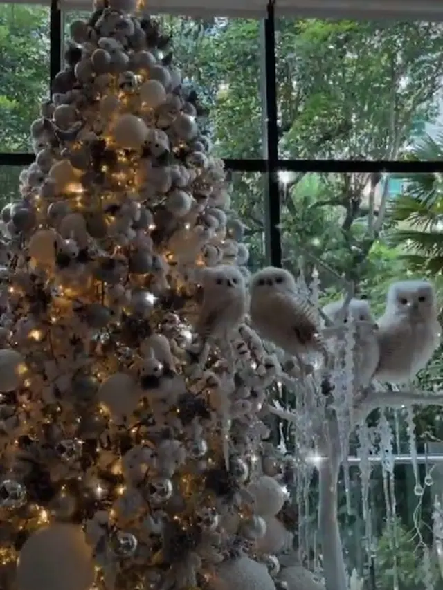 Sambut Natal, Ini 7 Potret Dekorasi Rumah Sandra Dewi Bertema White Christmas.