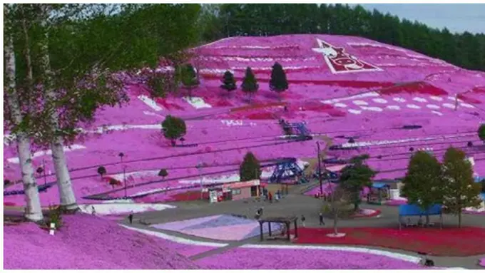 courtesy of OddityCentral