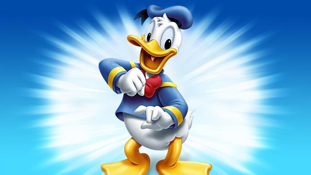 Donald The Duck