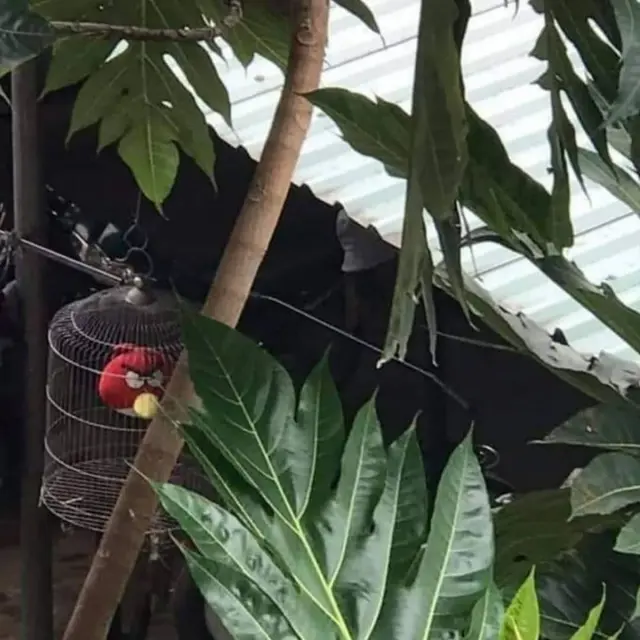 6 Tempat Simpan Mainan di Kandang Hewan Ini Bikin Tepuk Jidat