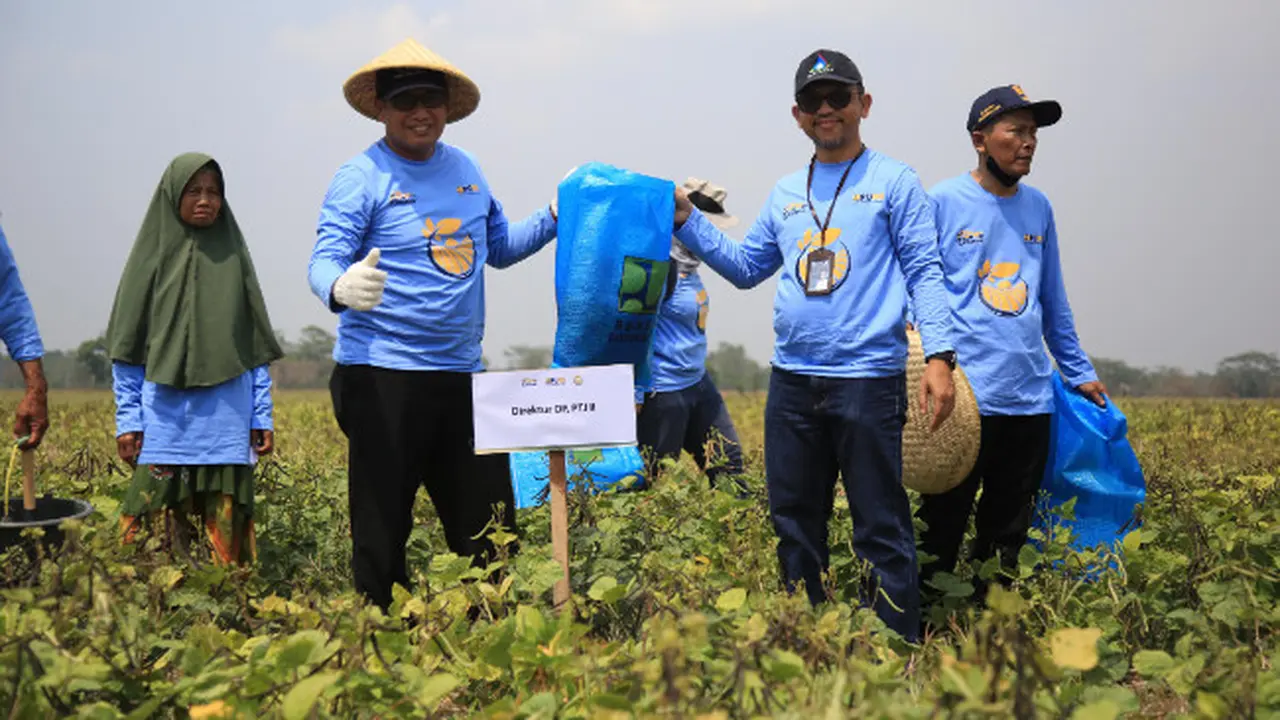 Jasa Tirta II Optimalkan Suplai Air Irigasi Untuk Pola Tanam Campuran