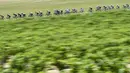 Para pebalap sedang berlomba di Etape 16 Tour de France 2015 yang berjarak 201-km dari Bourg-de-Peage menuju Gap, Prancis. (20/7/2015) (AFP PHOTO/JEFF PACHOUD)