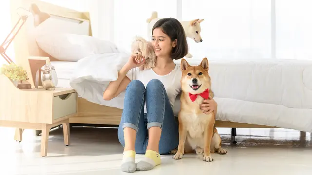 Adopsi hewan peliharaan