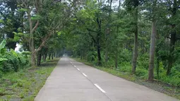 Citizen6, Indramayu: Jalan Sanca Cikamurang Indramayu, tapi di jalan haurgeulis Cikamurang via Gantar hancur, rusak dan berlubang. Tak sedikit truk pengangkut padi hasil panen terbalik melintasi jalan tersebut. (Pengirim:Tresna)