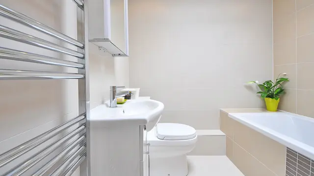 Tanaman hias kamar mandi (sumber: Pixabay)