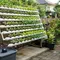 6 Model Hidroponik di Pagar Rumah, Solusi Berkebun Hemat Tempat