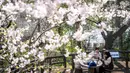 Sebagai informasi, Hanami merupakan waktu untuk mengagumi, merenungkan, dan merayakan. Dalam Bahasa Jepang, hanami berarti melihat bunga, yang menjadi tradisi masyarakat setempat untuk menikmati keindahan bunga sakura. Tampak dalam foto, orang-orang makan dan minum di bawah pohon sakura di sebuah taman di Tokyo pada Senin 30 Maret 2026. (Yuichi YAMAZAKI/AFP)