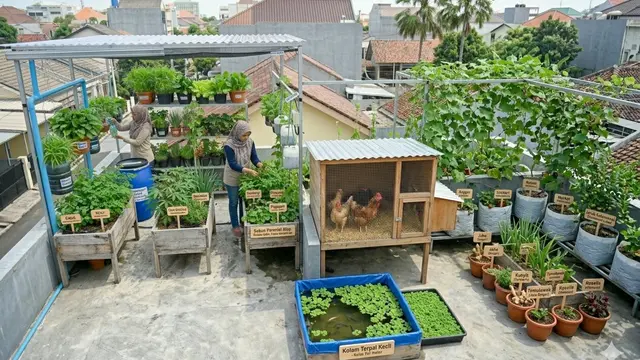 Ide Kebun Sayur Rambat di Atap Rumah Biar Lahan Sempit Tetap Produktif