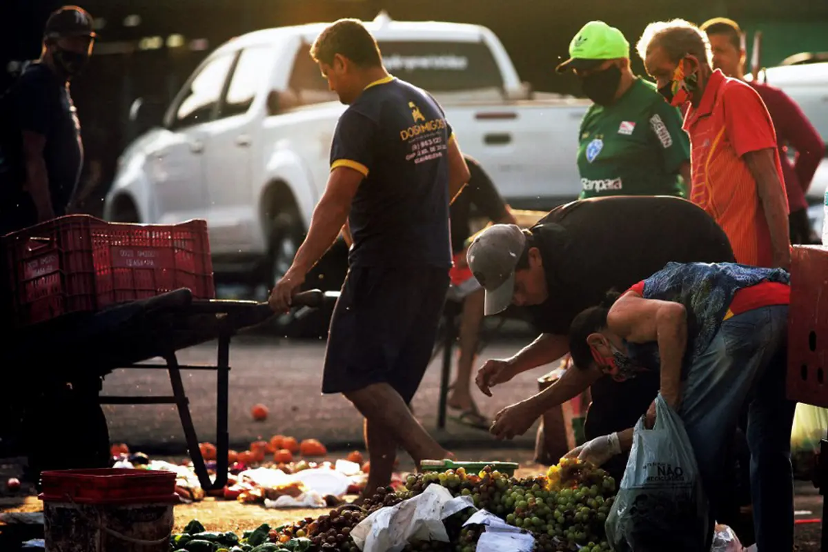 FOTO: Dilanda Kelaparan, Warga Brasil Kumpulkan Sisa Buah dan Sayur Buangan