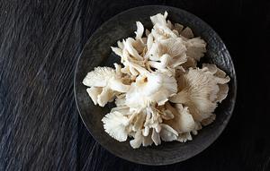 Cara Budidaya Jamur Tiram di Rumah Kecil (Image Bank Liputan6)