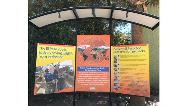 Gunakan Sperma Beku, Kebun Binatang Ini Sukses Hasilkan Hewan Langka