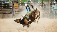 Ilustrasi rodeo (iStock)