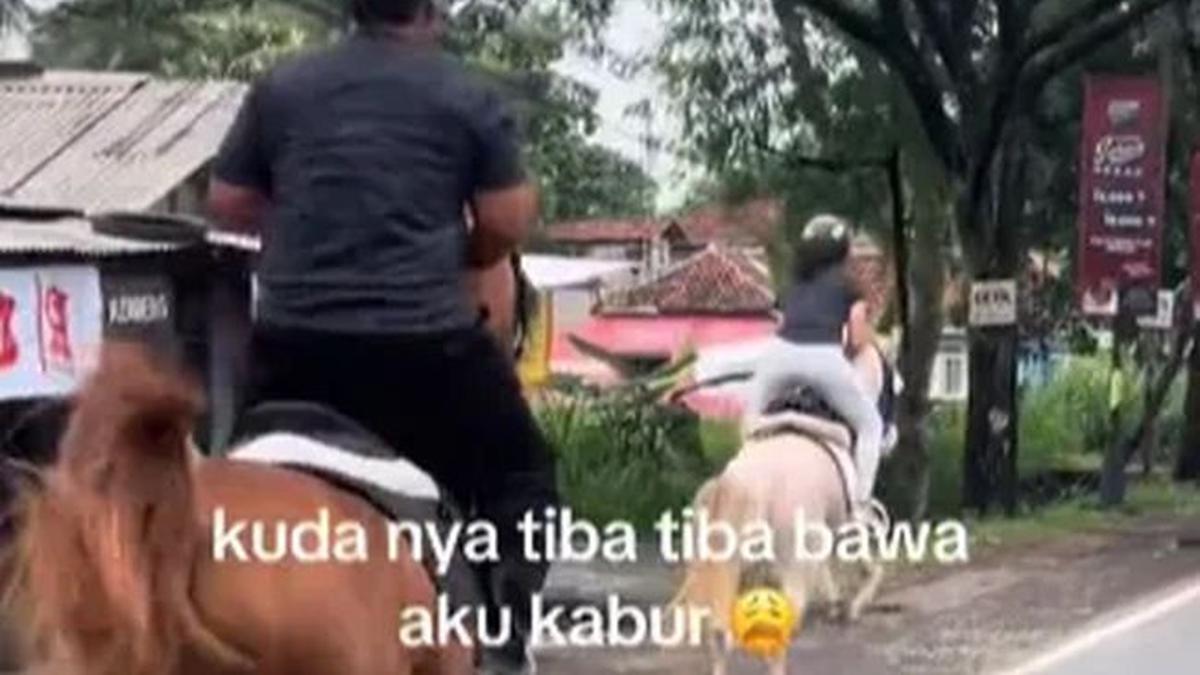Seorang Wanita Dibawa Kabur Kuda, Nyaris Menabrak Mobil