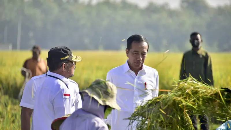 Presiden Jokowi didampingi Menteri Pertanian Syahrul Yasin Limpo (Mentan SYL) melakukan panen raya padi di Kabupaten Ngawi