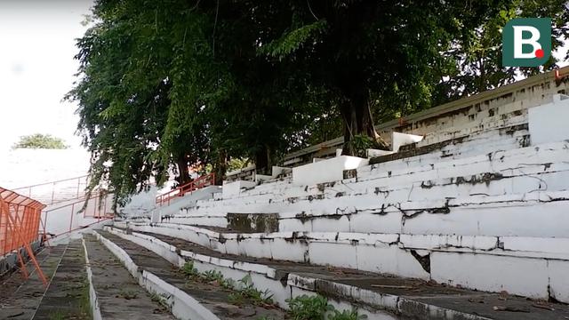 Pohon di Stadion Gelora 10 November, Surabaya