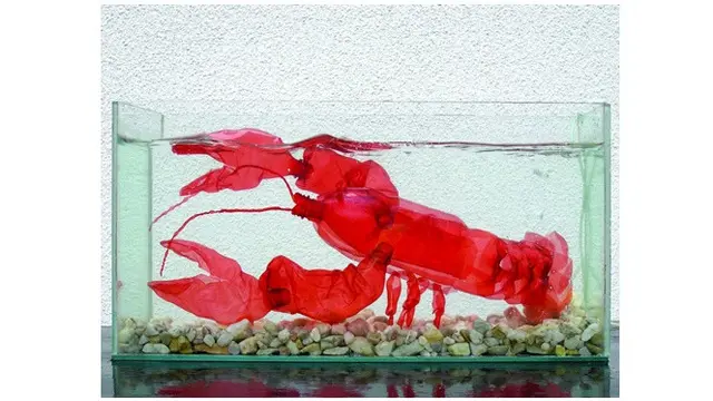 Karya Kreatif Botol Plastik Bekas Berbentuk Hewan Ini Keren Abis