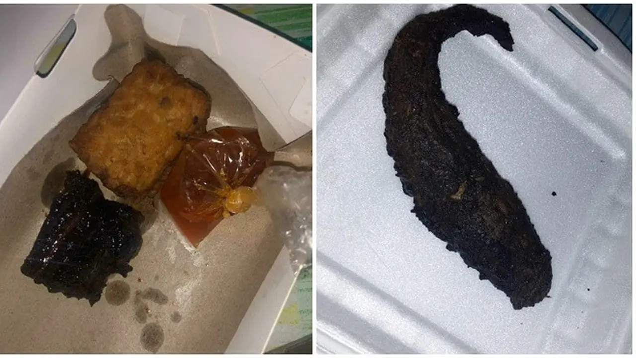 6 Momen Apes Dapat Makanan Gosong ketika Beli Online Ini Bikin Elus Dada