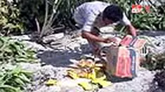 liputan6