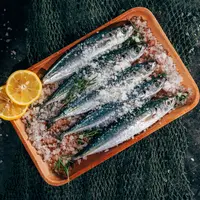ilustrasi ikan/copyright Unsplash