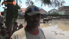 Memasuki masa tanam di ujung musim penghujan, petani di desa sumberjo kecamatan lumajang jawa timur menggelar kerapan kerbau.
