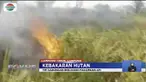 Tidak hanya satu lokasi, kebakaran yang melanda taman nasional ini terjadi di 10 lokasi.