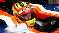 Rio Haryanto (Twitter)