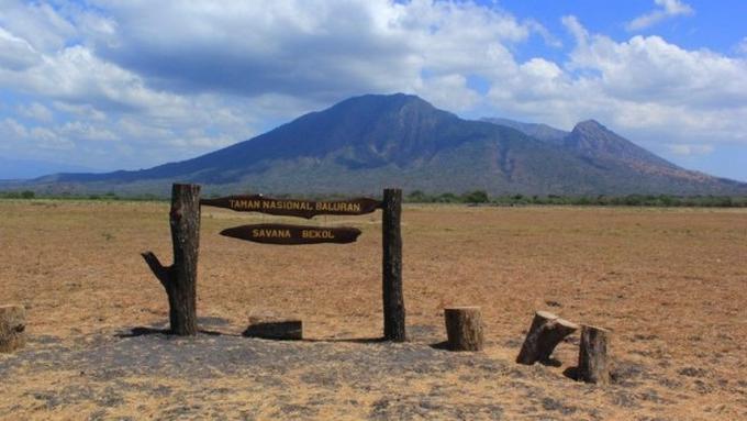 Pantai Hingga Sabana Deretan Lokasi Liburan Di Banyuwangi