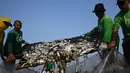 Pekerja menujukkan ikan mati yang hanyut ke daratan Freedom Island saat mengumpulkannya di sepanjang Teluk Manila, Filipina, Jumat (11/10/2019). Pekerja harus mengumpulkan ikan mati di antara sampah yang mencemari Teluk Manila. (Ted ALJIBE/AFP)