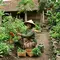 7 Kebun Rumah Konsep Organik di Pekarangan Desa Tanpa Pestisida, Sayuran Segar Tinggal Petik
