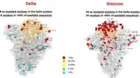 Gambar pertama varian Omicron, dibandingkan dengan varian Delta, dibuat oleh Rumah Sakit Bambino Ges di Roma (AFP)