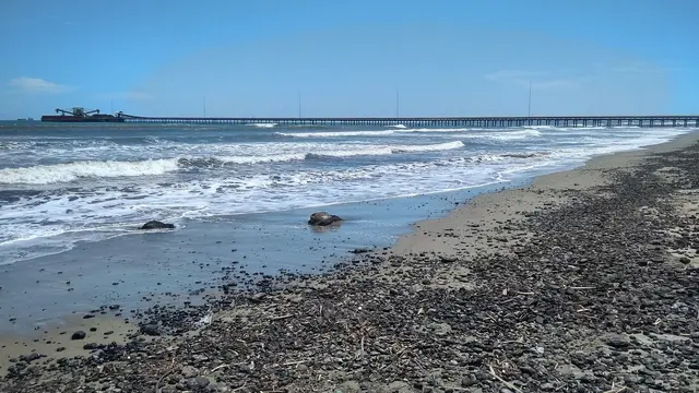 Tumpahan batu bara di kawasan pantai Desa Suak Puntong, Kecamatan Kuala Pesisir, Kabupaten Nagan Raya.