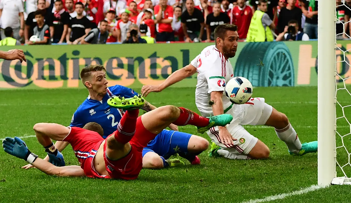 Birkir Saevarsson. Adalah pencetak gol bunuh diri ke-8 sepanjang sejarah Euro. Saat itu Islandia berhadapan dengan Hongaria di laga Grup F Euro 2016, 18 Juni 2016. Gol terjadi di menit ke-88 saat Islandia unggul 1-0. Hasil akhir Islandia bermain imbang 1-1. (Foto: AFP/Attila Kisbenedek)