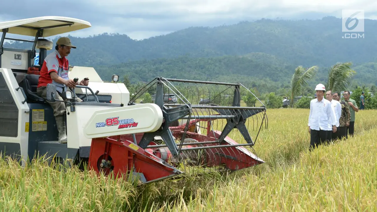 Lewat Padat Karya Tunai, Jokowi Berharap Daya Beli Masyarakat Meningkat