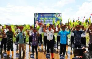 Staf Ahli Bupati Tanah Laut Bidang Kemasyarakatan dan SDM Achmad Taufik bersama Kakanwil Ditjenpas Kalsel Mulyadi melakukan penanaman padi perdana. (Antara)