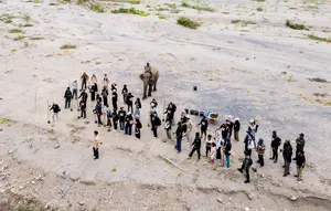 Puluhan Relawan Tanam Pohon di DAS Peusangan Aceh