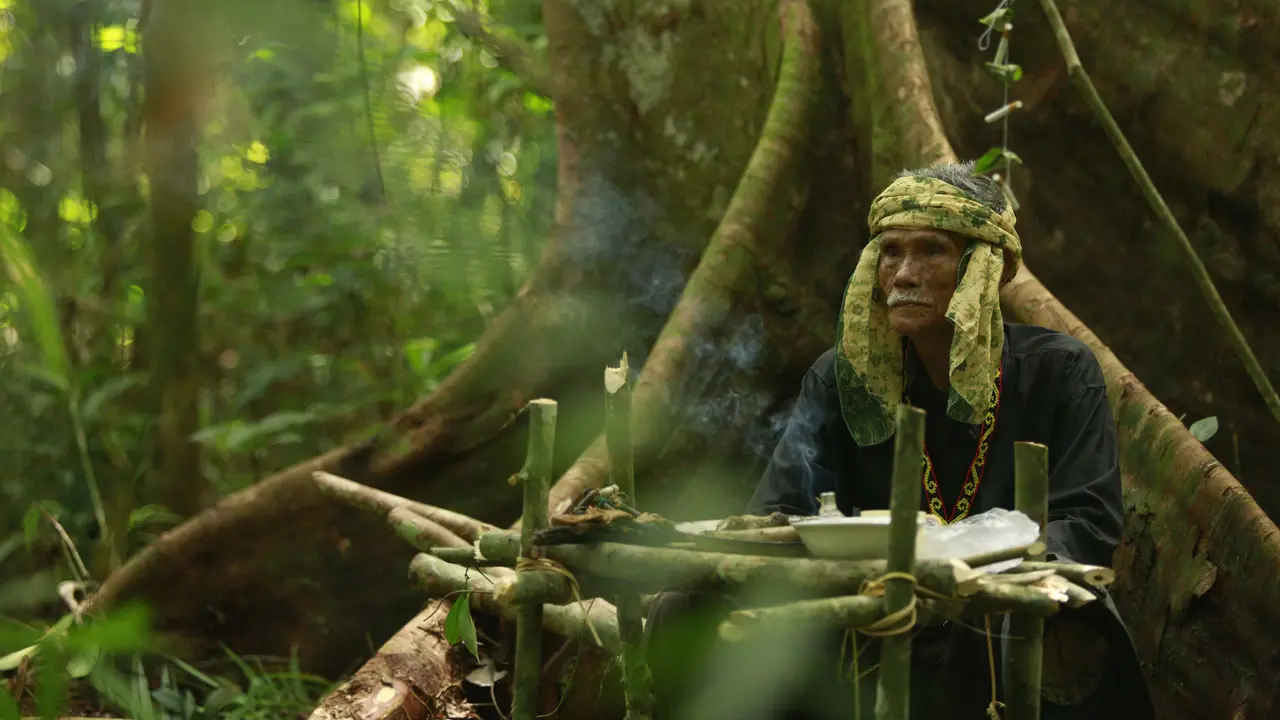 The Flame, Kisah Perjuangan Pria Lanjut Usia untuk Lindungi Hutan Adat Kalimantan