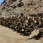 Gerakan perlawanan Afghanistan dan pasukan pemberontakan anti-Taliban mengambil bagian dalam pelatihan militer di daerah Abdullah Khil, Distrik Dara, Provinsi Panjshir, Afghanistan, 24 Agustus 2021. Panjshir jadi satu-satunya wilayah Afghanistan yang belum dikuasai Taliban. (Ahmad SAHEL ARMAN/AFP)
